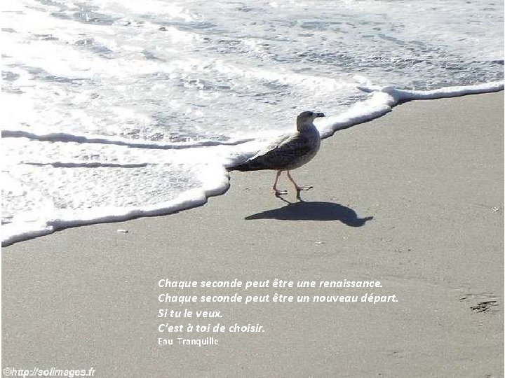 Chaque seconde peut être une renaissance. Chaque seconde peut être un nouveau départ. Si