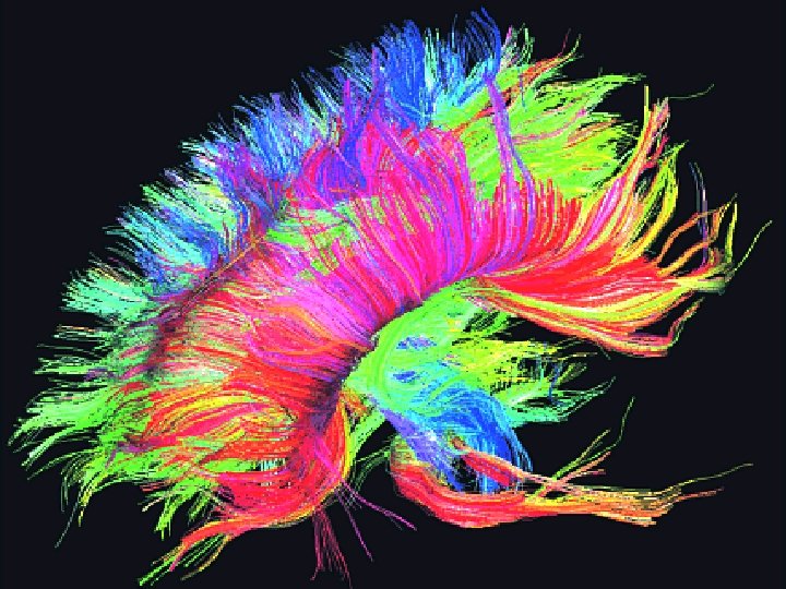 Phelps, Banaji, and their colleagues showed white college students pictures of unfamiliar black and