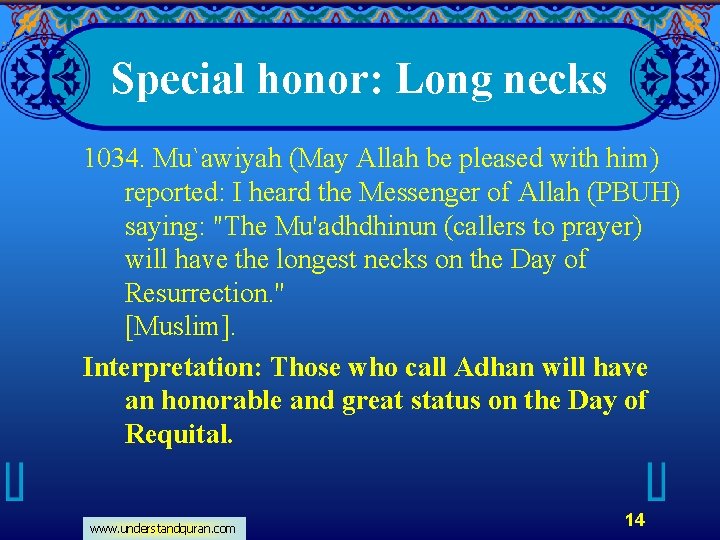 Special honor: Long necks 1034. Mu`awiyah (May Allah be pleased with him) reported: I