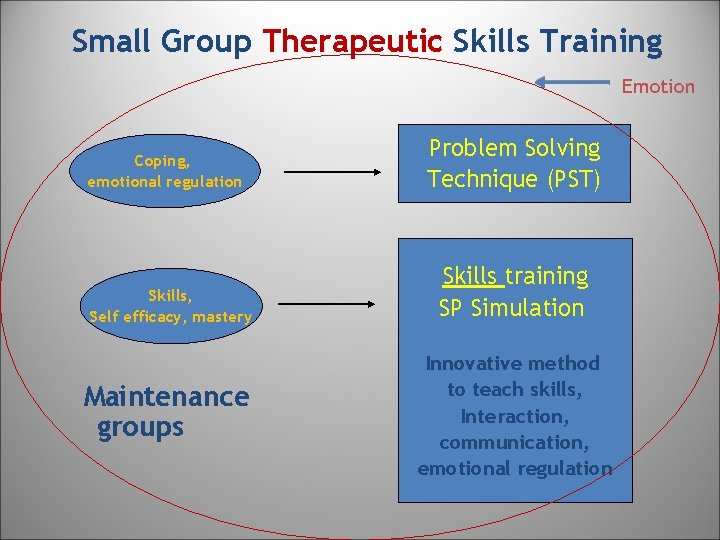 Small Group Therapeutic Skills Training Emotion Coping, emotional regulation Skills, Self efficacy, mastery Maintenance