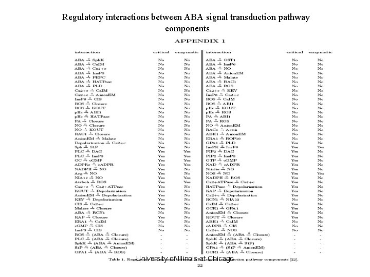 Regulatory interactions between ABA signal transduction pathway components University of Illinois at Chicago Regulatory interactions between ABA signal transduction pathway components University of Illinois at Chicago