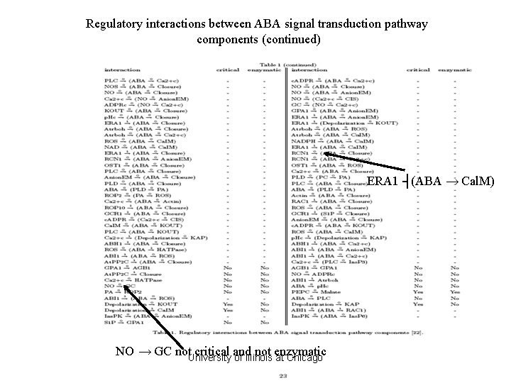 Regulatory interactions between ABA signal transduction pathway components (continued) ERA 1 ┤(ABA → Cal. Regulatory interactions between ABA signal transduction pathway components (continued) ERA 1 ┤(ABA → Cal.
