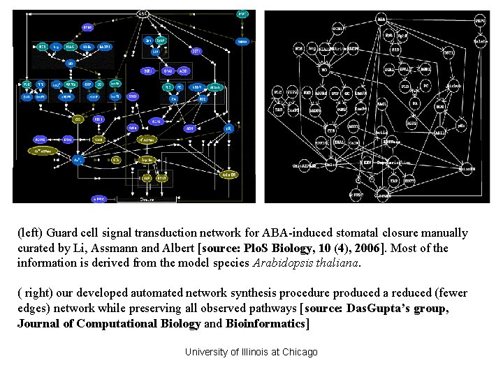 (left) Guard cell signal transduction network for ABA-induced stomatal closure manually curated by Li, (left) Guard cell signal transduction network for ABA-induced stomatal closure manually curated by Li,