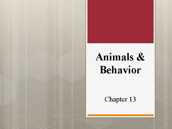 Animals & Behavior Chapter 13 