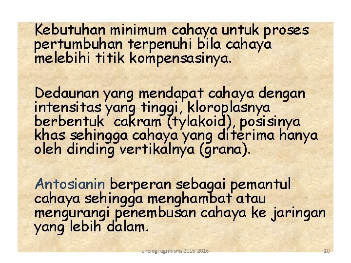 Kebutuhan minimum cahaya untuk proses pertumbuhan terpenuhi bila cahaya melebihi titik kompensasinya. Dedaunan yang