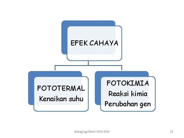 EFEK CAHAYA FOTOTERMAL Kenaikan suhu FOTOKIMIA Reaksi kimia Perubahan gen ekologi agribisnis 2015 -2016 EFEK CAHAYA FOTOTERMAL Kenaikan suhu FOTOKIMIA Reaksi kimia Perubahan gen ekologi agribisnis 2015 -2016