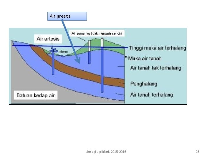Air preatis ekologi agribisnis 2015 -2016 28 Air preatis ekologi agribisnis 2015 -2016 28