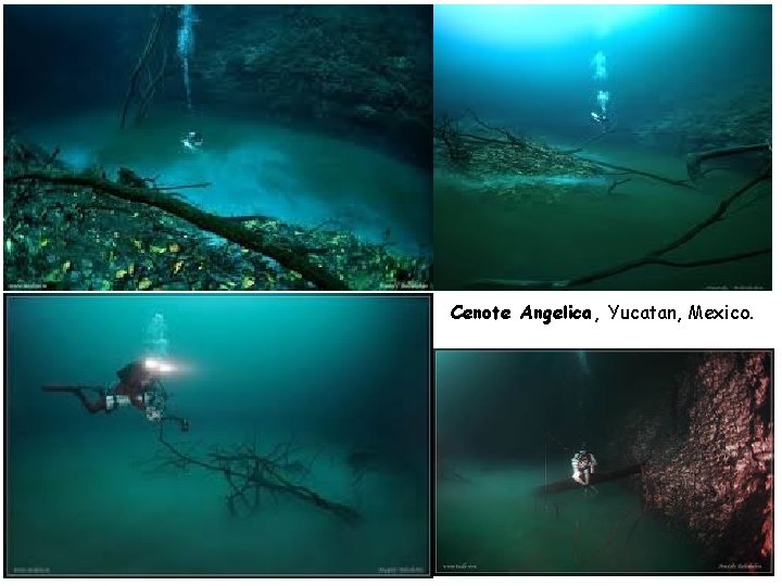 Cenote Angelica, Yucatan, Mexico. ekologi agribisnis 2015 -2016 48 