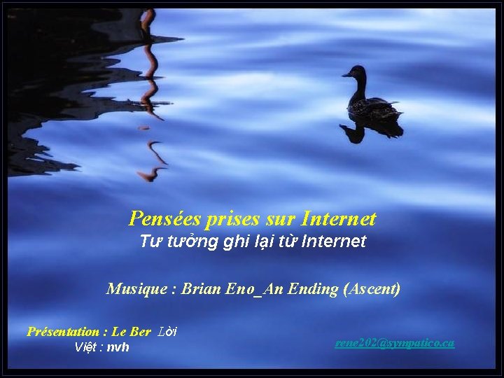 Pensées prises sur Internet Tư tưởng ghi lại từ Internet Musique : Brian Eno_An