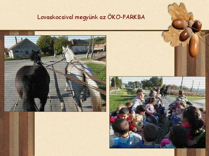 Lovaskocsival megyünk az ÖKO-PARKBA 