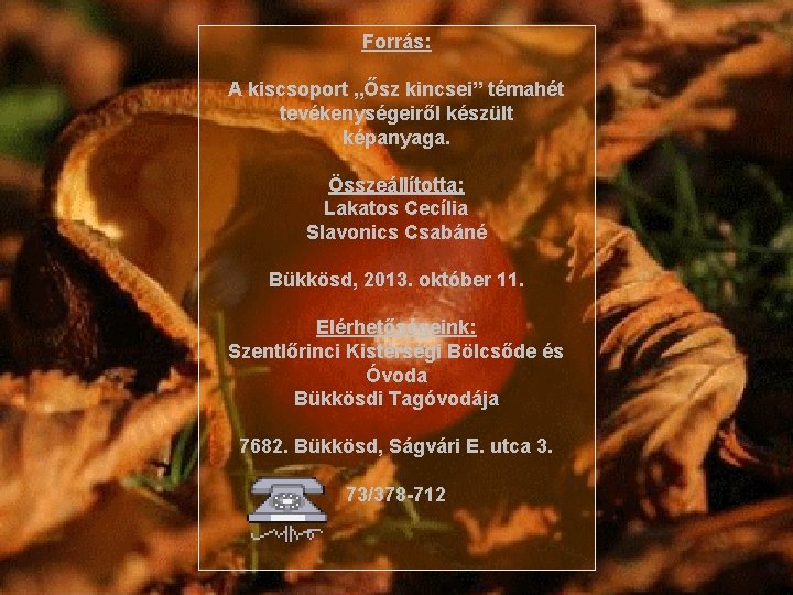 Forrás: A kiscsoport „Ősz kincsei” témahét tevékenységeiről készült képanyaga. Összeállította: Lakatos Cecília Slavonics Csabáné