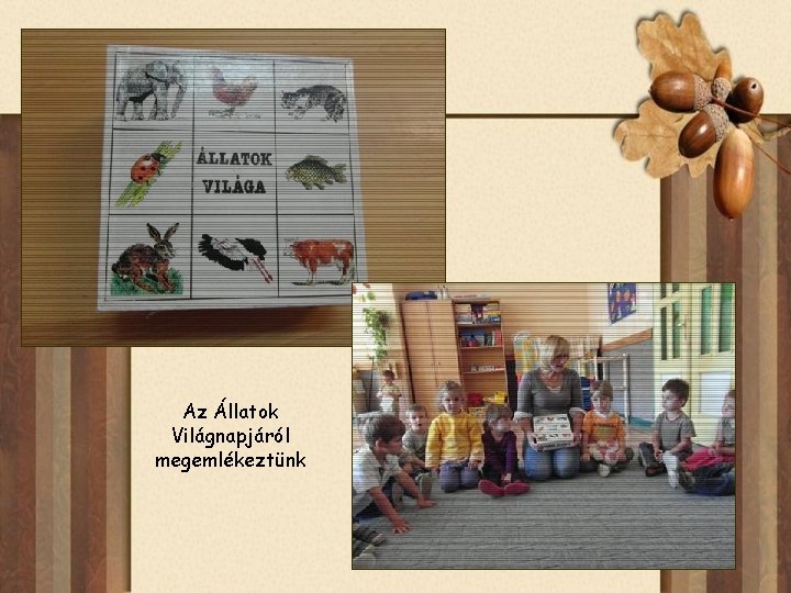 Az Állatok Világnapjáról megemlékeztünk 