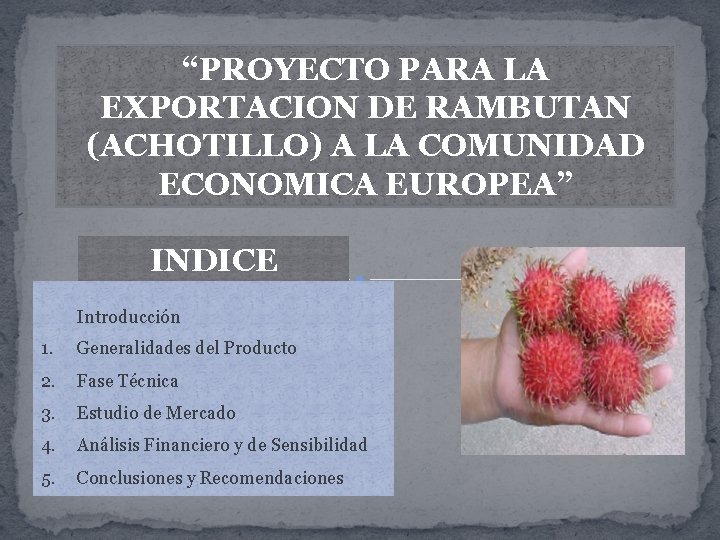 “PROYECTO PARA LA EXPORTACION DE RAMBUTAN (ACHOTILLO) A LA COMUNIDAD ECONOMICA EUROPEA” INDICE Introducción