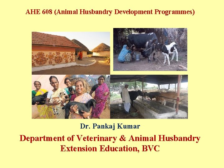 AHE 608 (Animal Husbandry Development Programmes) Dr. Pankaj Kumar Department of Veterinary & Animal