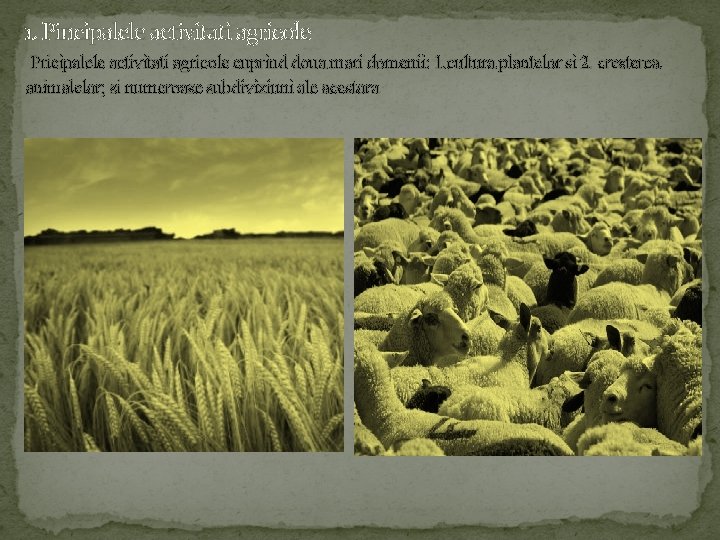 1. Pincipalele activitati agricole Pricipalele activitati agricole cuprind doua mari domenii: 1. cultura plantelor