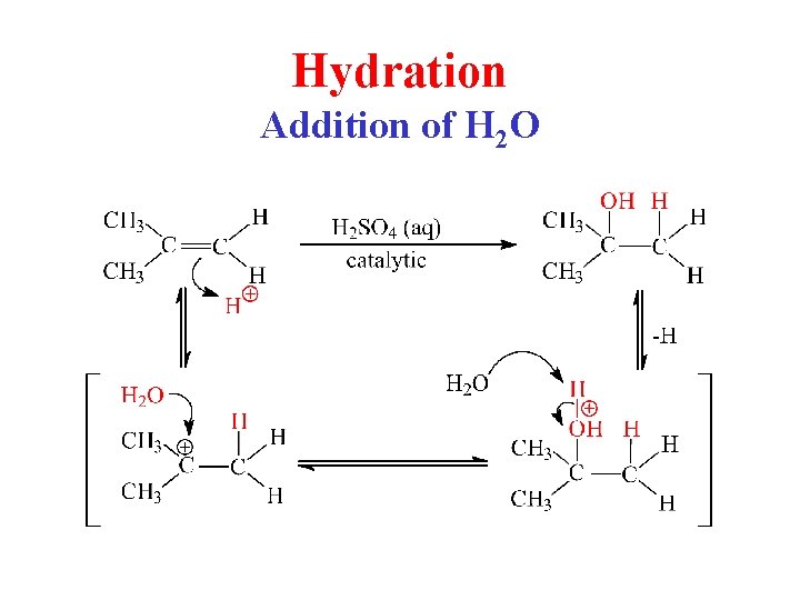 Hydration Addition of H 2 O 