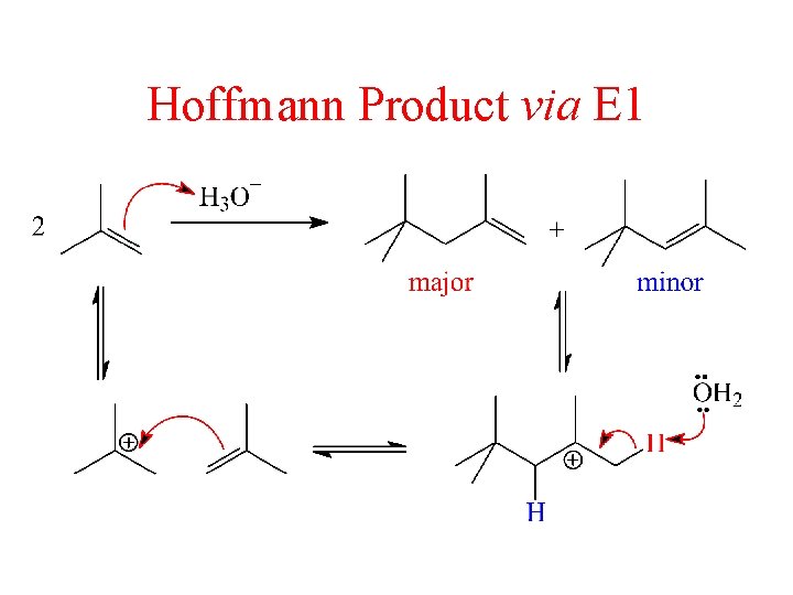 Hoffmann Product via E 1 