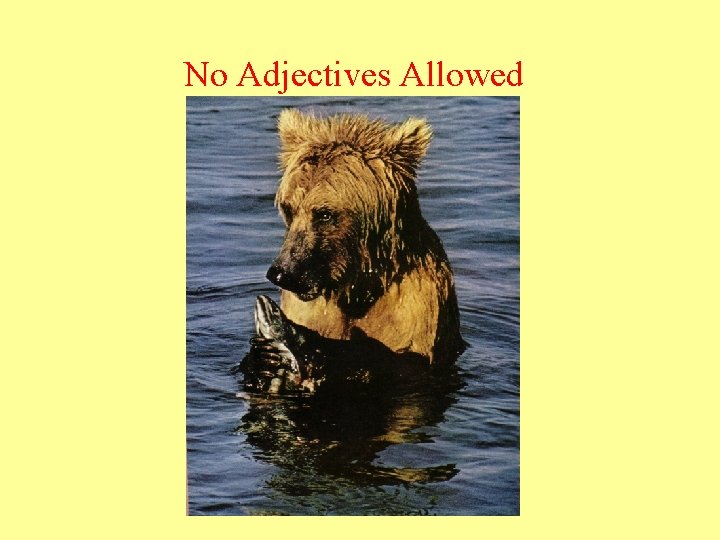 No Adjectives Allowed 