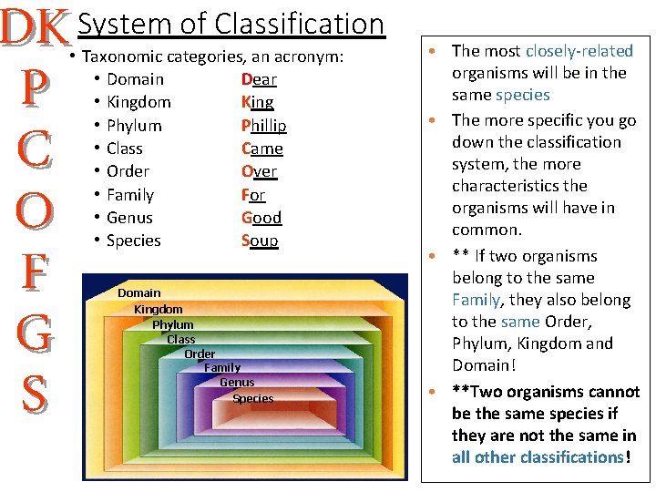 DK System of Classification P C O F G S • Taxonomic categories, an