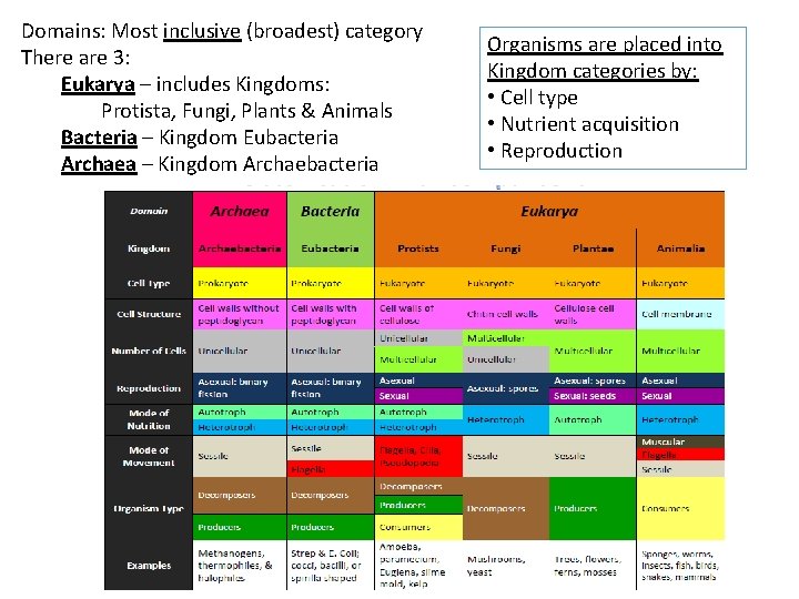 Domains: Most inclusive (broadest) category There are 3: Eukarya – includes Kingdoms: Protista, Fungi,