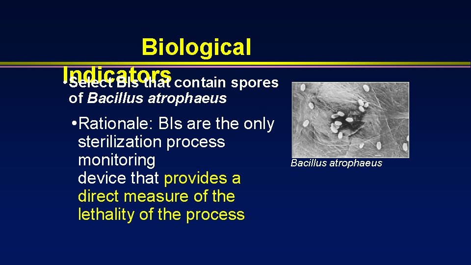 Biological • Indicators Select BIs that contain spores of Bacillus atrophaeus • Rationale: BIs