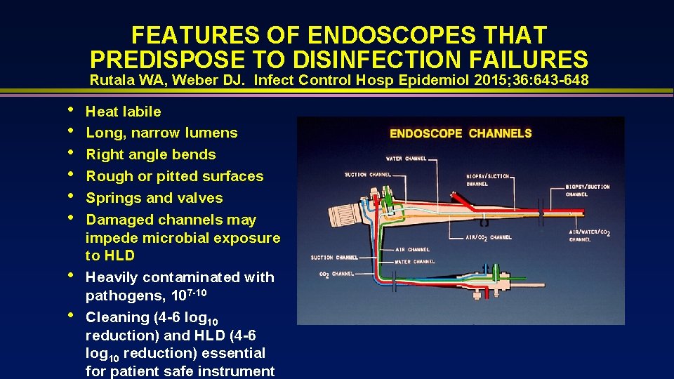FEATURES OF ENDOSCOPES THAT PREDISPOSE TO DISINFECTION FAILURES Rutala WA, Weber DJ. Infect Control