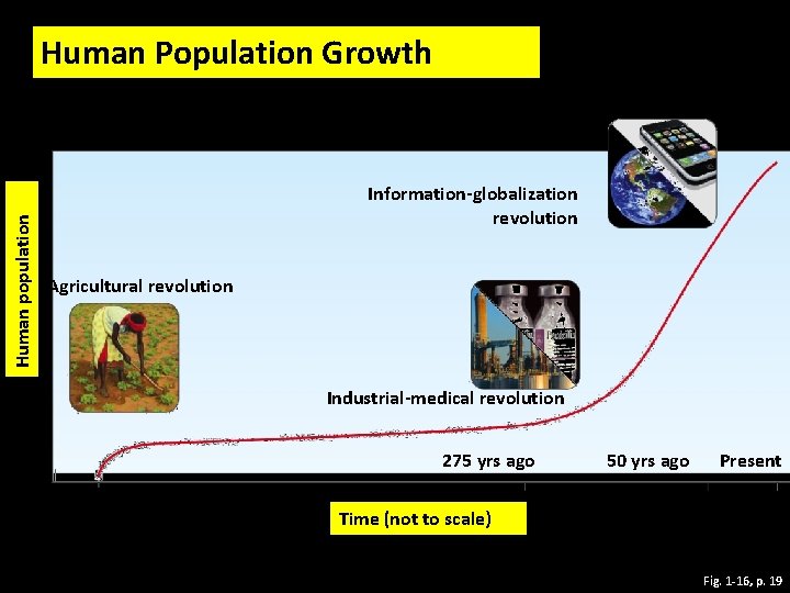 Human population Human Population Growth Information-globalization revolution Agricultural revolution Industrial-medical revolution 275 yrs ago