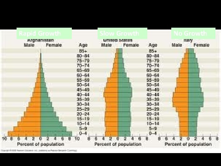 Rapid Growth Slow Growth No Growth 