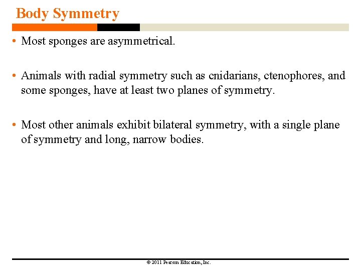 Body Symmetry • Most sponges are asymmetrical. • Animals with radial symmetry such as