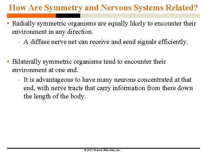 How Are Symmetry and Nervous Systems Related? • Radially symmetric organisms are equally likely