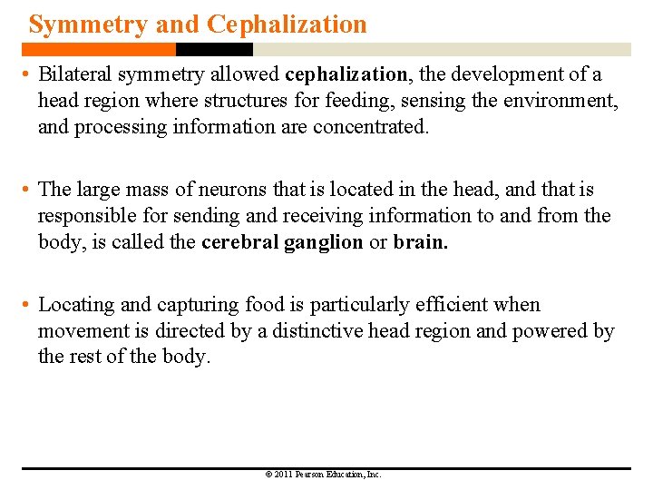 Symmetry and Cephalization • Bilateral symmetry allowed cephalization, the development of a head region