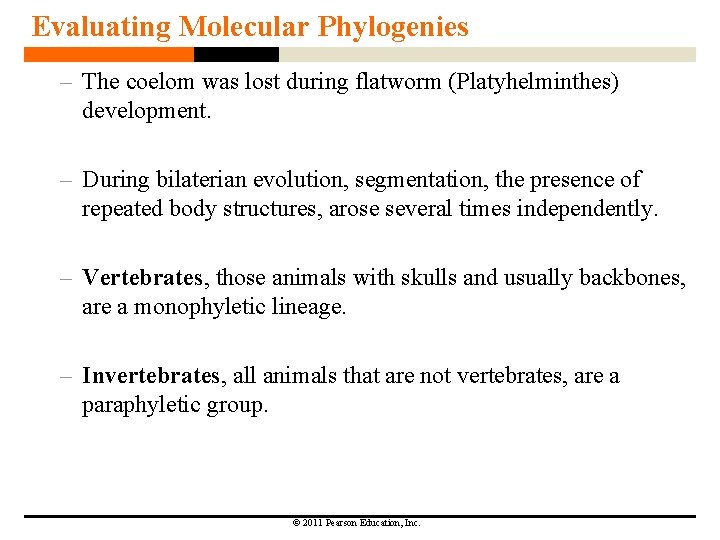 Evaluating Molecular Phylogenies – The coelom was lost during flatworm (Platyhelminthes) development. – During