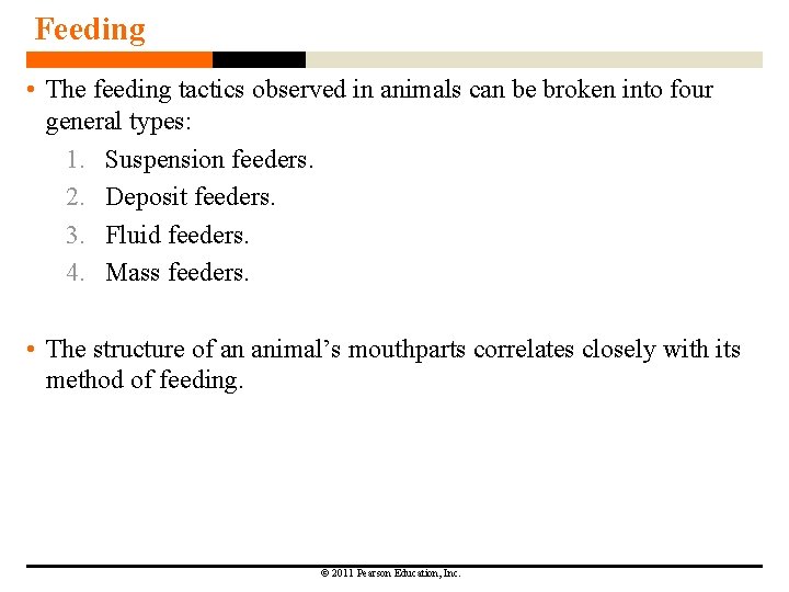 Feeding • The feeding tactics observed in animals can be broken into four general