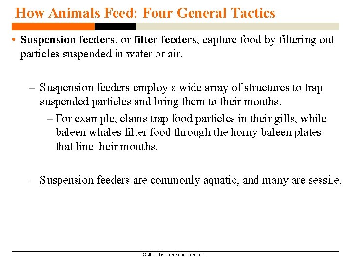 How Animals Feed: Four General Tactics • Suspension feeders, or filter feeders, capture food