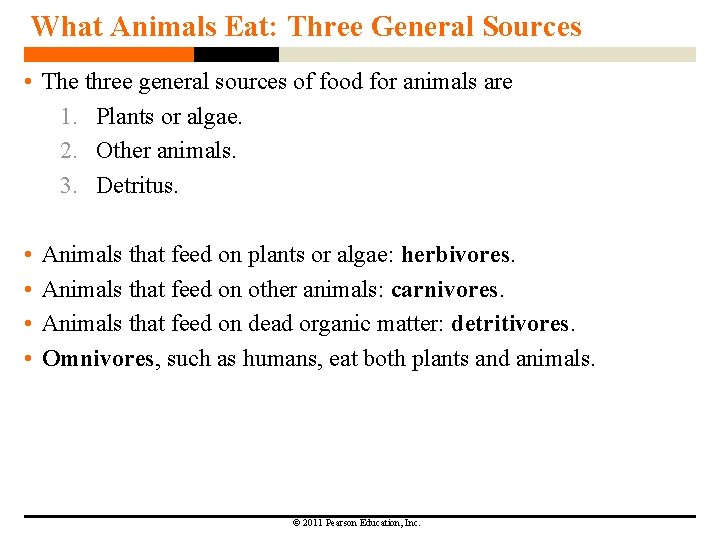 What Animals Eat: Three General Sources • The three general sources of food for
