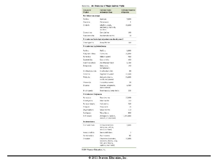 © 2011 Pearson Education, Inc. 