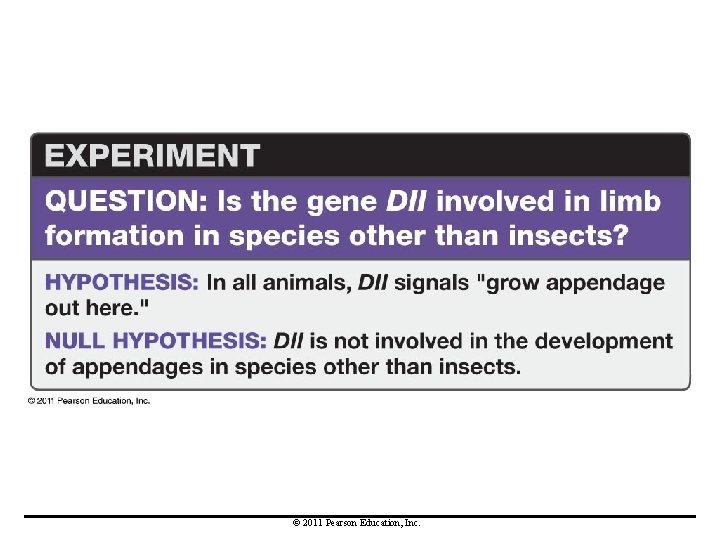 © 2011 Pearson Education, Inc. 