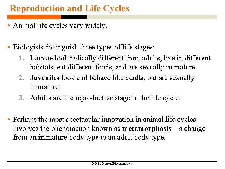 Reproduction and Life Cycles • Animal life cycles vary widely. • Biologists distinguish three