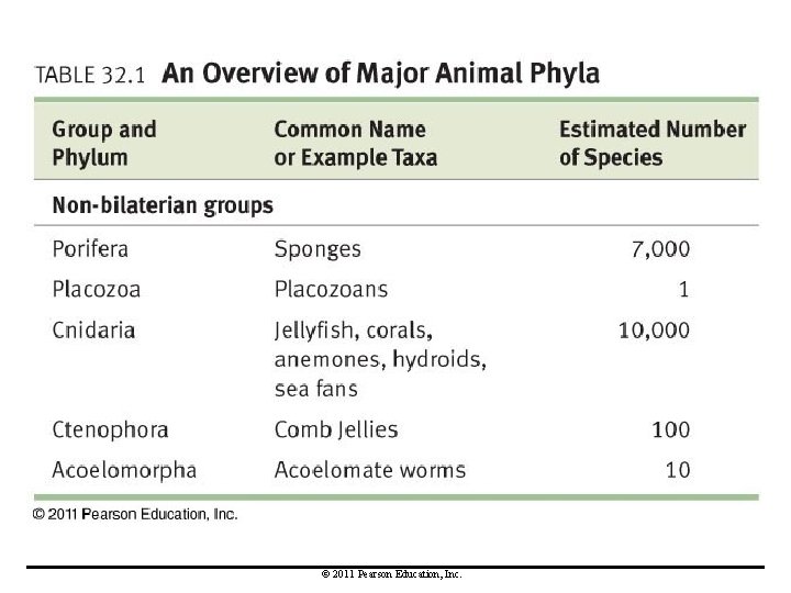 © 2011 Pearson Education, Inc. 