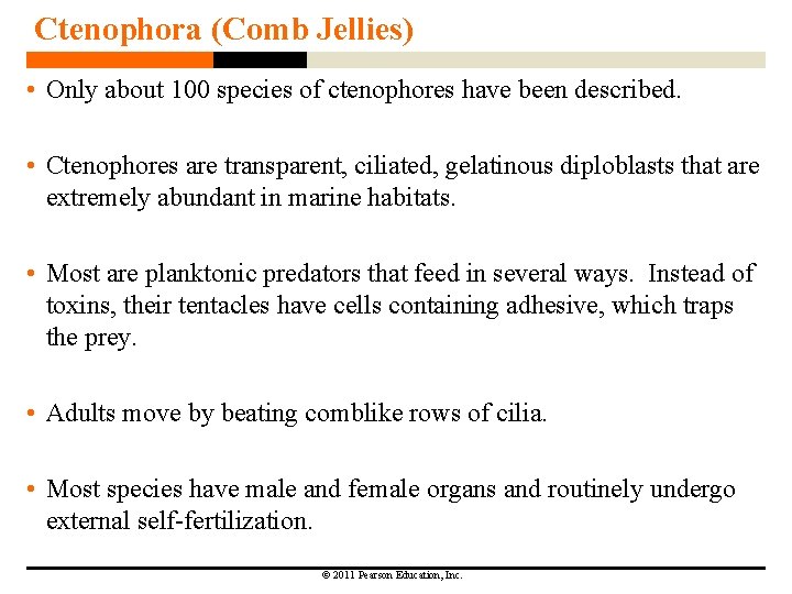 Ctenophora (Comb Jellies) • Only about 100 species of ctenophores have been described. •