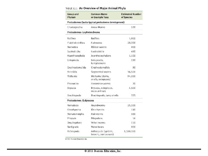 © 2011 Pearson Education, Inc. 