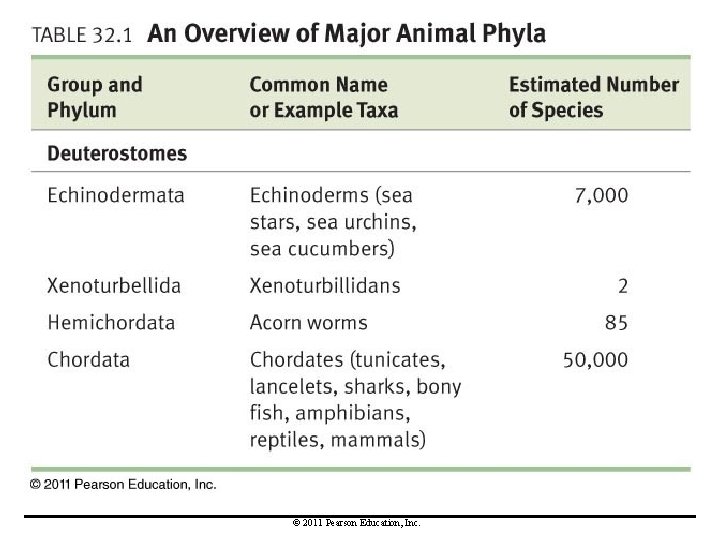© 2011 Pearson Education, Inc. 
