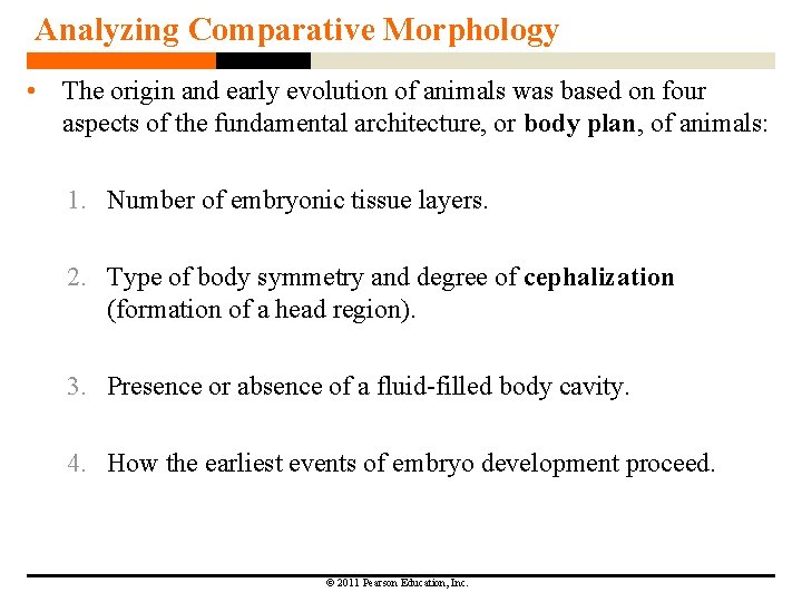 Analyzing Comparative Morphology • The origin and early evolution of animals was based on