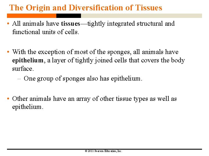The Origin and Diversification of Tissues • All animals have tissues—tightly integrated structural and