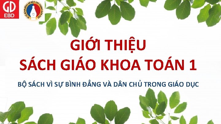 GIỚI THIỆU SÁCH GIÁO KHOA TOÁN 1 BỘ SÁCH VÌ SỰ BÌNH ĐẲNG VÀ