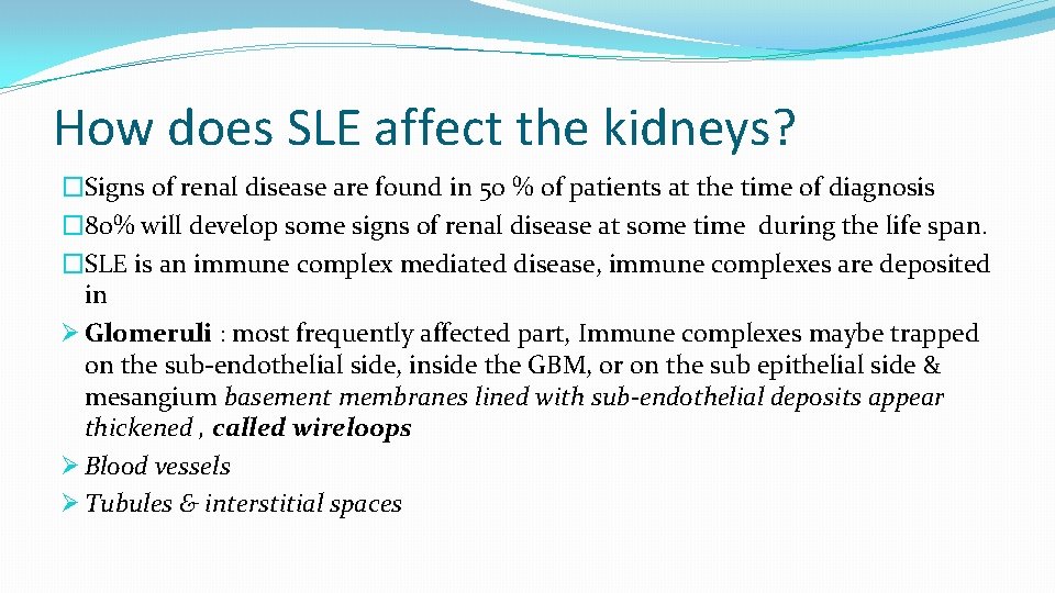 How does SLE affect the kidneys? �Signs of renal disease are found in 50