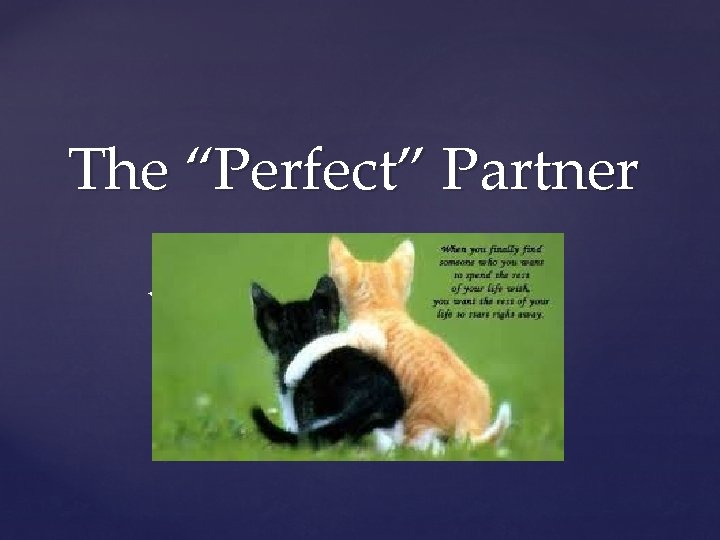 The “Perfect” Partner { 