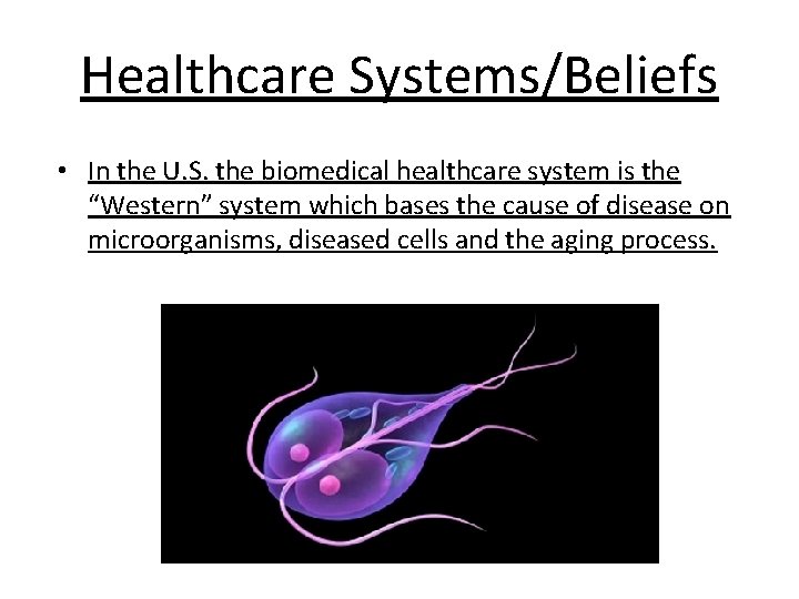 Healthcare Systems/Beliefs • In the U. S. the biomedical healthcare system is the “Western”