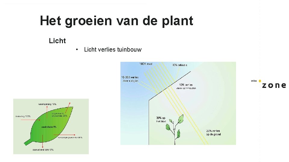 Het groeien van de plant Licht • Licht verlies tuinbouw 