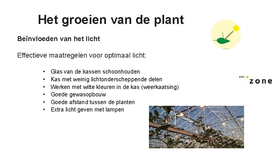 Het groeien van de plant Beïnvloeden van het licht Effectieve maatregelen voor optimaal licht: